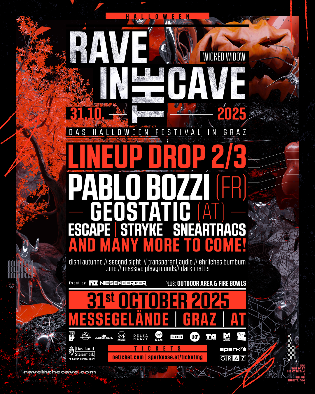 RAVE IN THE CAVE 2025 - Line Up Drop 2/3