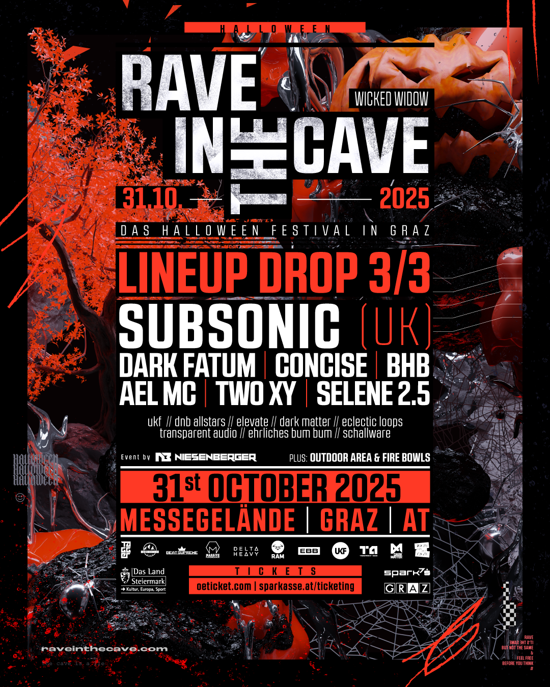 RAVE IN THE CAVE 2025 - Line Up Drop 3/3